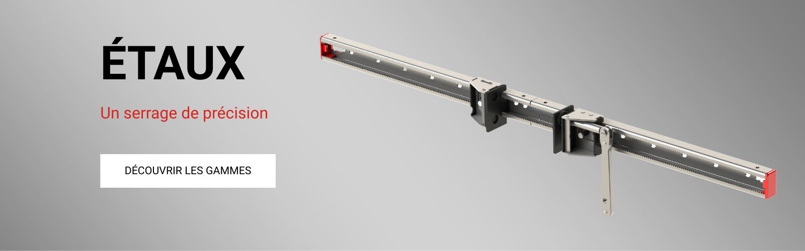 Etaux pour &eacute;tabli extensibles &agrave; l'infini